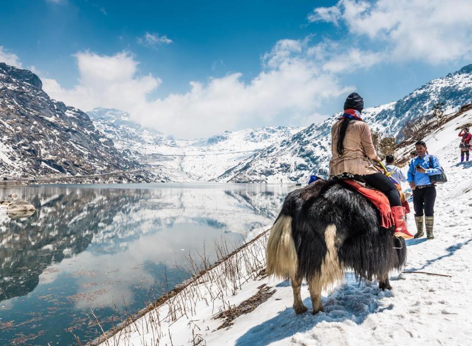 جانجتوك Snow White Retreat Hotel And Restaurant المظهر الخارجي الصورة